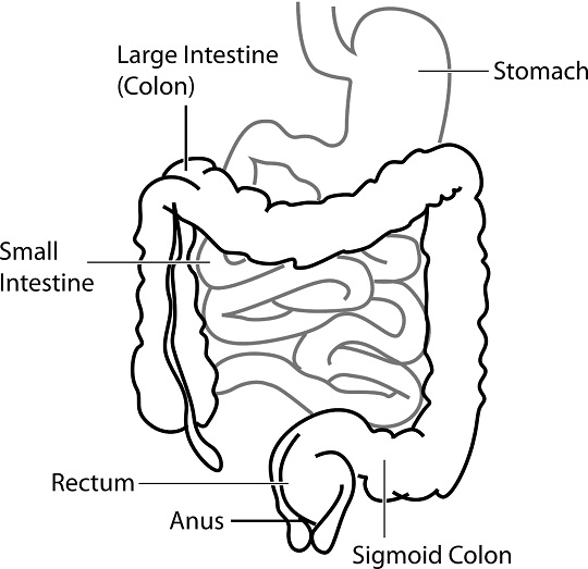 problems with digestion